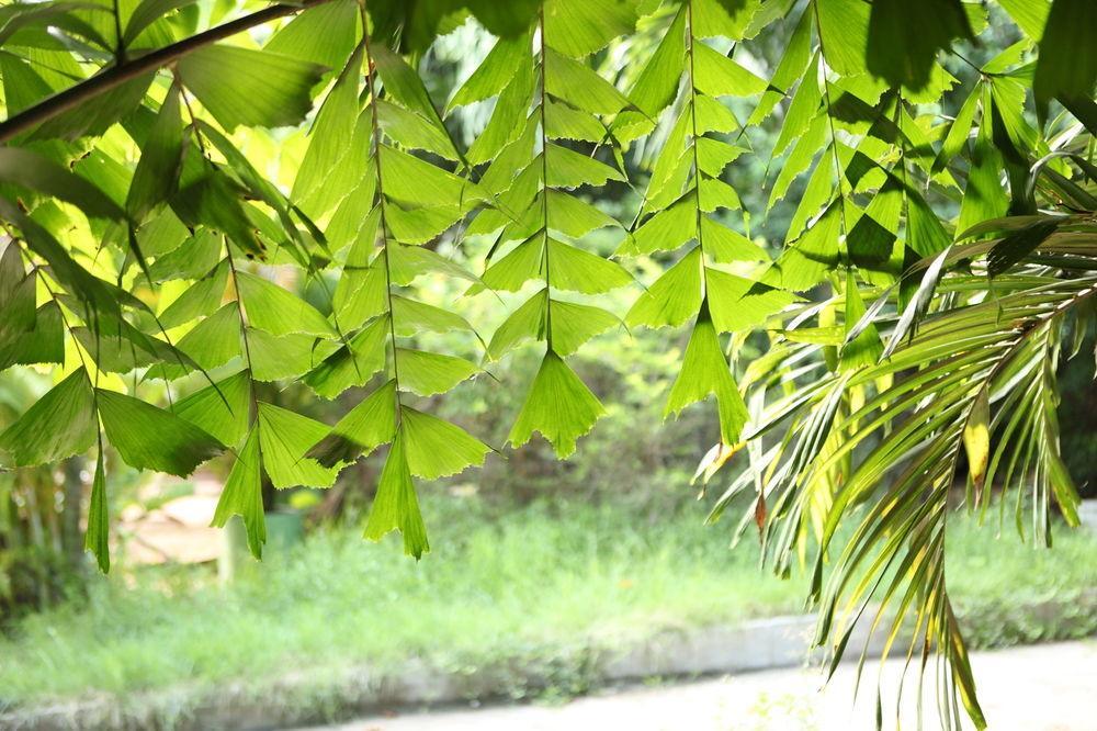 The Kabiki Hotel Phnom Penh Bagian luar foto